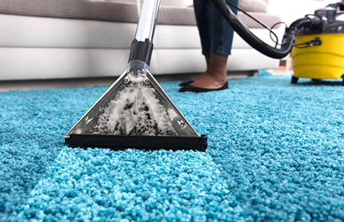 Carpet Cleaning Services Brampton 