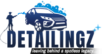 Detailingz Auto Cleaning Services