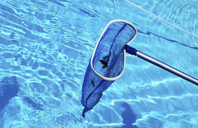 Swimming Pool Detailing Cleaning Service Brampton