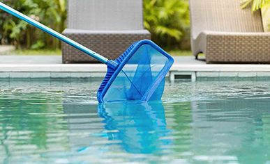 pool cleaning service